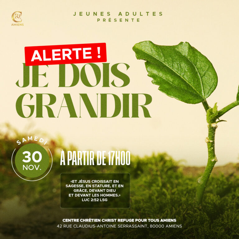 Jeunes Adultes